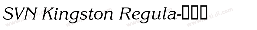 SVN Kingston Regula字体转换